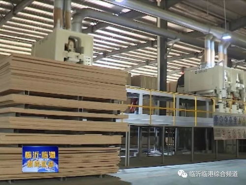 临港企业 手握国内第一，海外建厂拓展全球市场