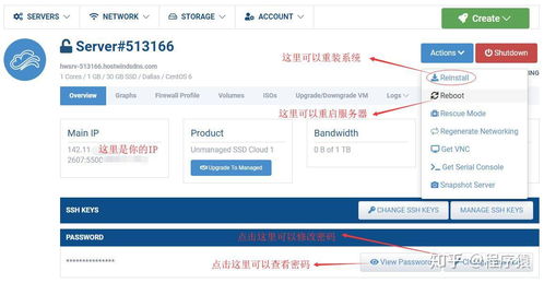 2020年海外VPS云主机使用体验与选择指南 Vultr、Linode与搬瓦工对比